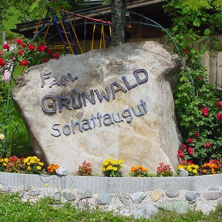 Schattaugut Eben Im Pongau Bagian luar foto