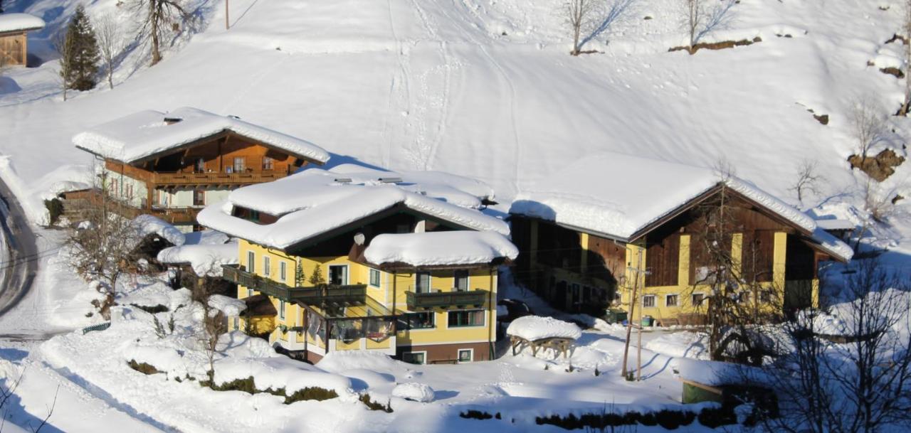 Schattaugut Eben Im Pongau Bagian luar foto